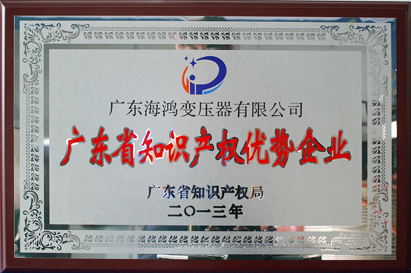 廣東省知識產(chǎn)權(quán)優(yōu)勢企業(yè)